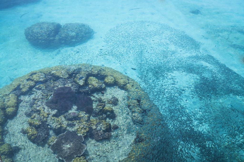 Summer Bay Resort, Lang Tengah Island Bagian luar foto
